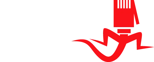 Ferenz Networks